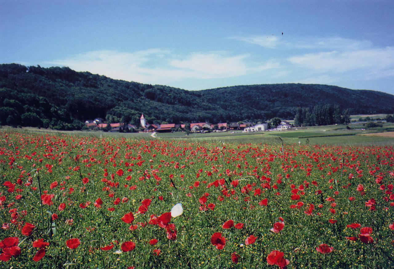 Landgasthof Wagner-Zimmermann Kinding Exterior photo